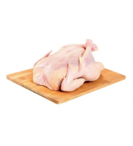 FRANGO AVIVIP RESFRIADO